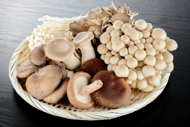 キノコ類はビタミンDを有する貴重な食材（画像：イメージ）
