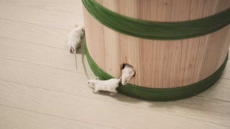 （画像は取材に基づく再現）