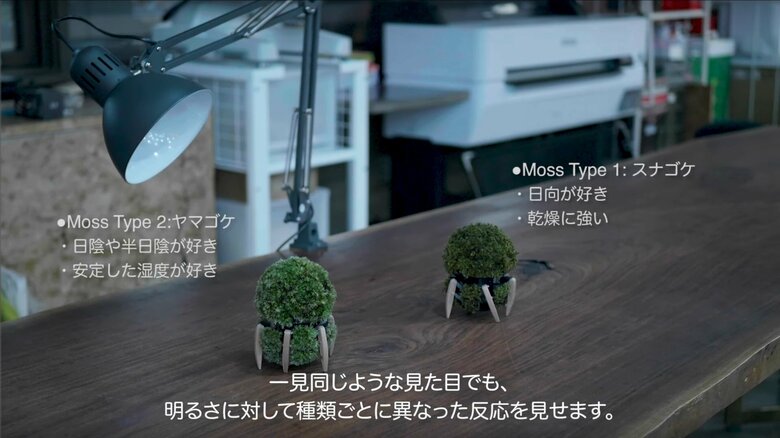 明かりを消した状態では動きがないが…