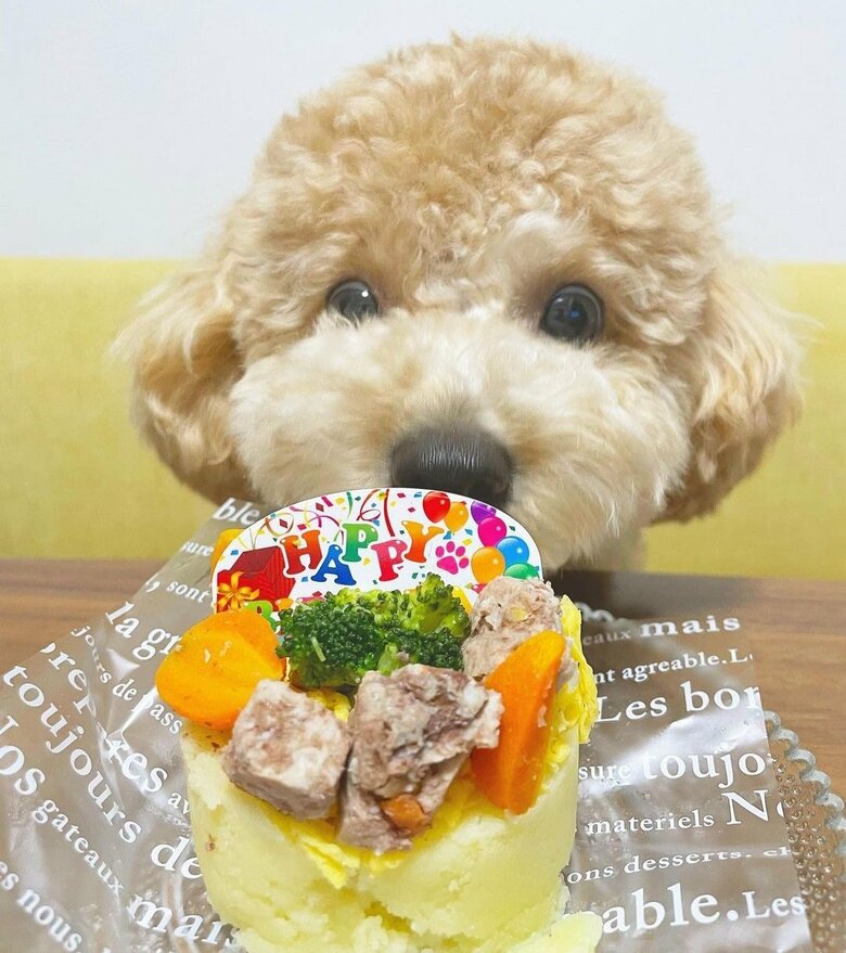 誕生日ケーキ　うれしそうなうにちゃん