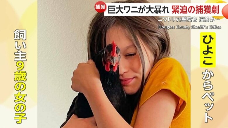 飼い主の元に戻ったニワトリ（Douglas County Sheriff’s Office）