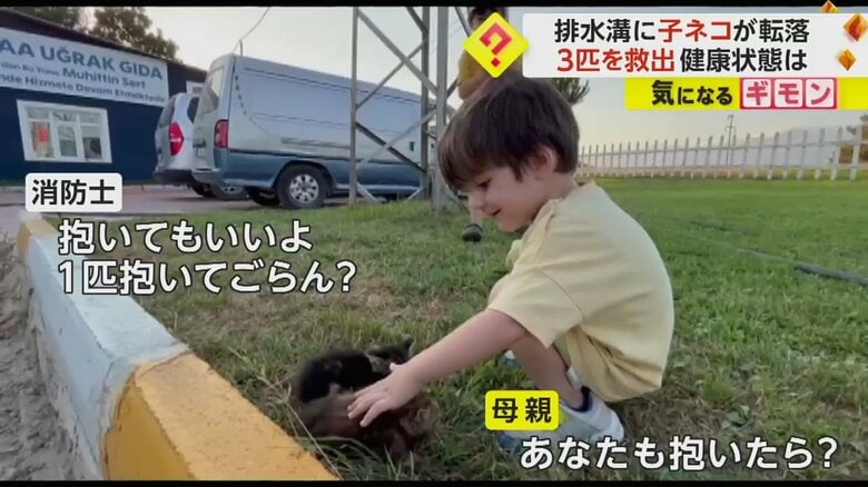 笑顔で子ネコをなでる子どもたち