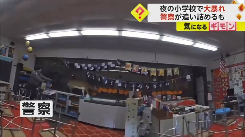 （Toms River Police Department）