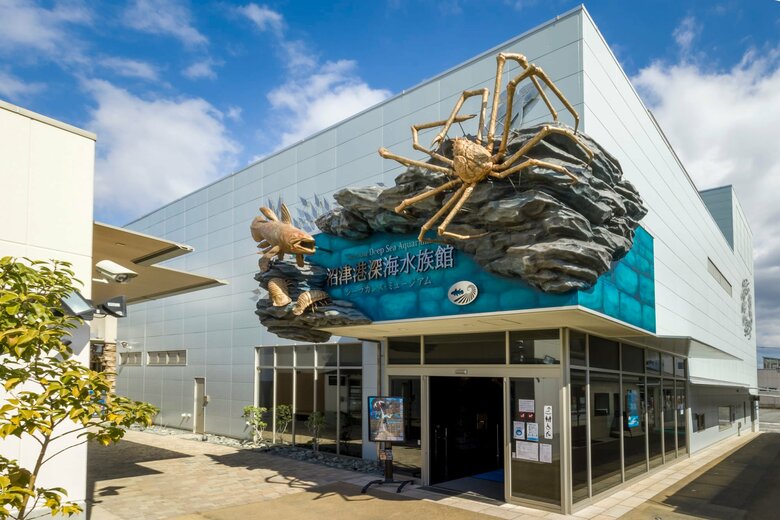 提供：沼津港深海水族館