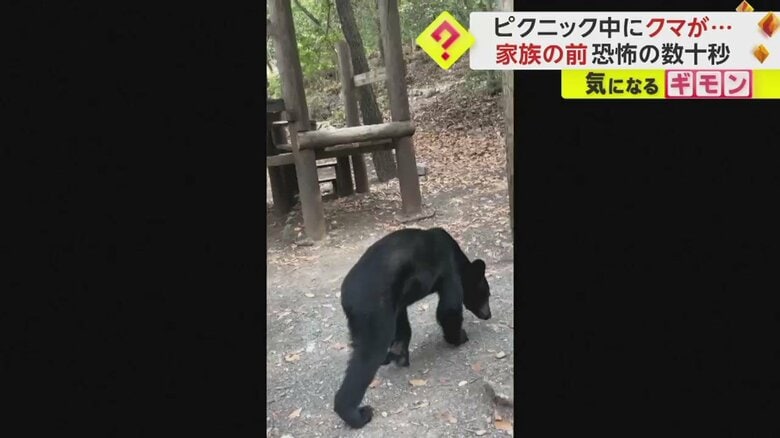 食事を終えると、クマはおとなしく帰っていった