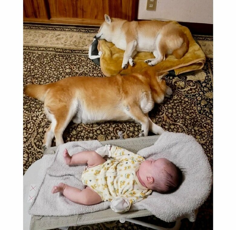 仲良しに見えるが、べりやんくんたちはオヤツをもらうために来ただけだそう