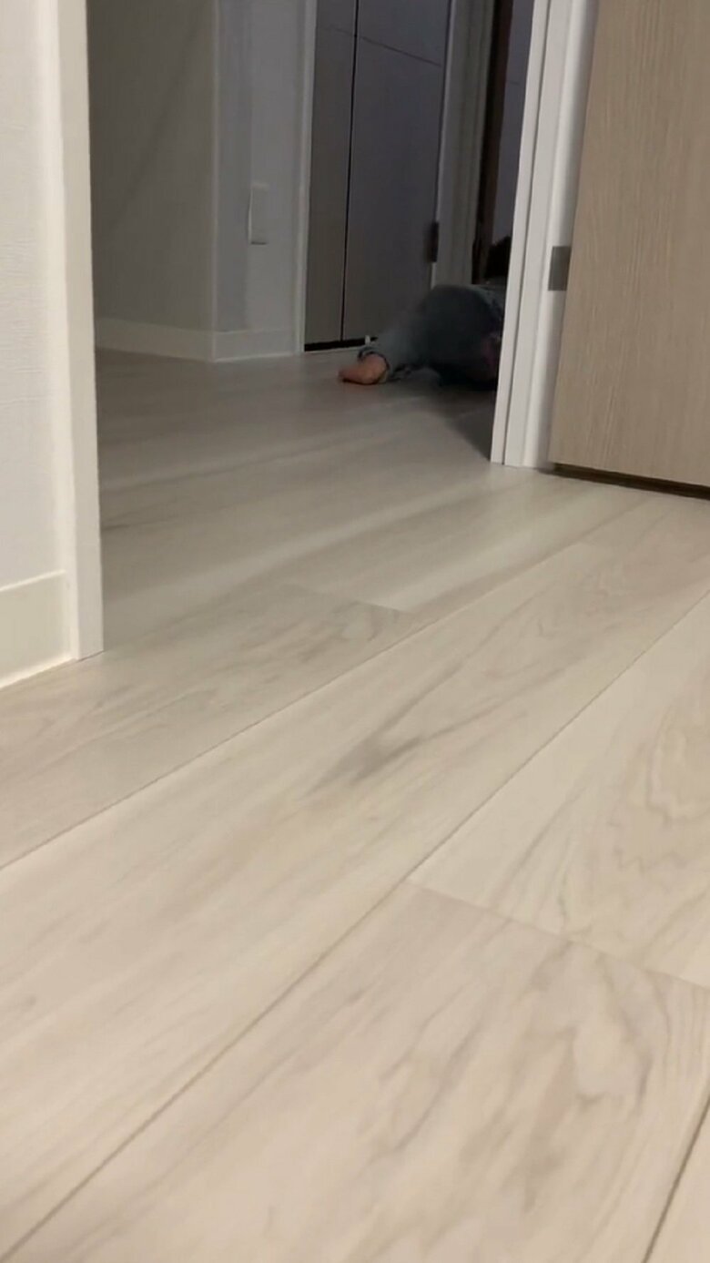 廊下の奥へと消えていった