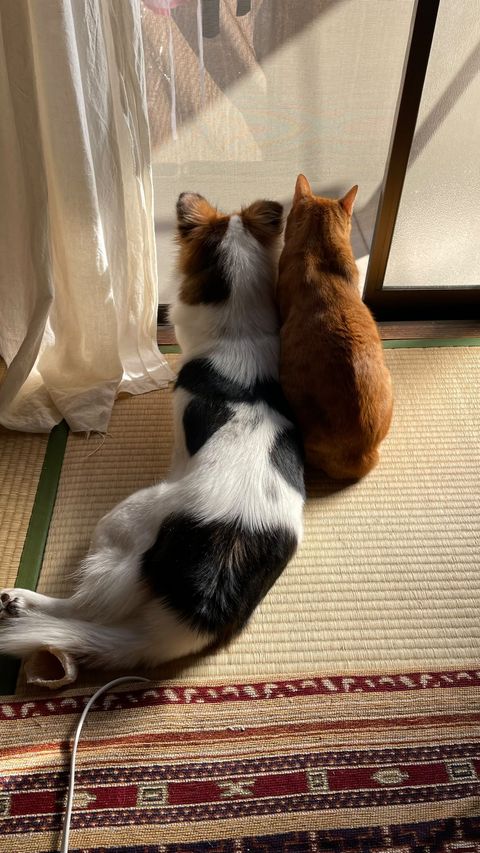 提供：naomiさん