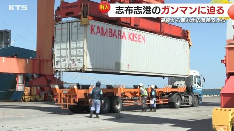 つり上げたコンテナをトレーラーに積み込むのがガンマンの仕事だ