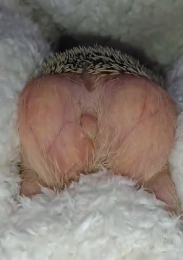 自慢のお尻