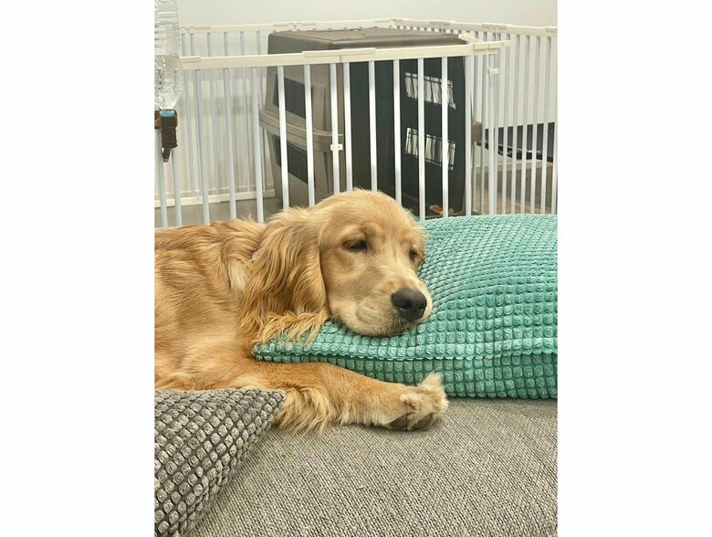 提供：関口和也さん