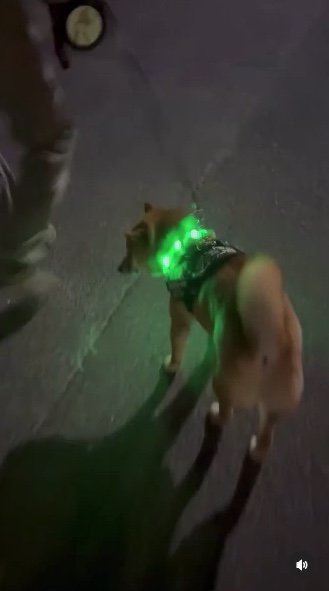 提供：カンさん