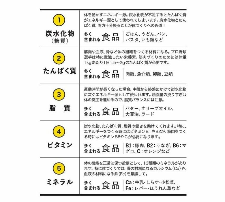 五大栄養素
