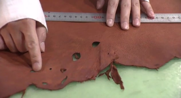 片岡さんが使うのは駆除された野生動物の皮