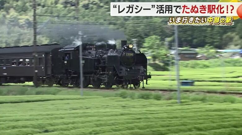 茶畑を走る大井川鉄道のSL