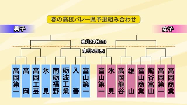 春の高校バレー全国大会へ