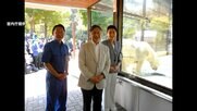 天皇皇后両陛下と“奇跡のシロクマ”「ピース」の対面写真が公開　笑顔を見せられる両陛下　オランウータン「ジェニファー」との写真も