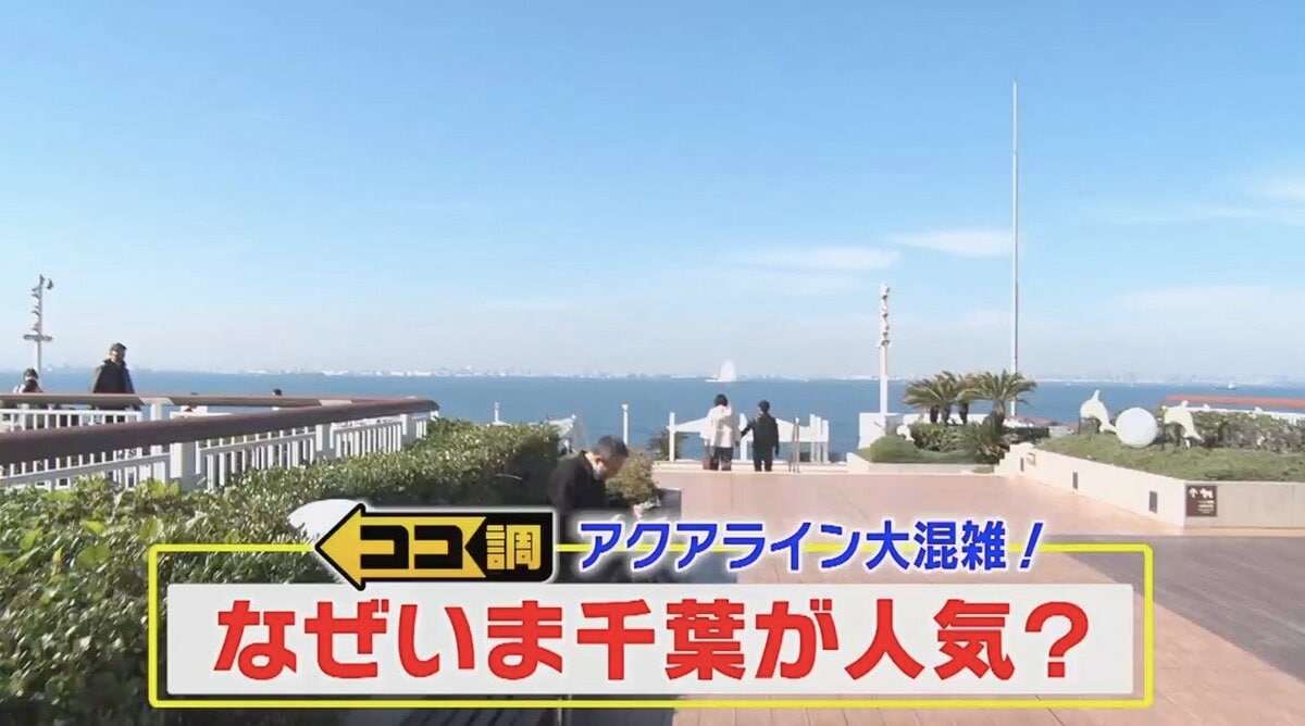 東京湾アクアラインが大混雑 なぜいま千葉が人気 海ほたるpaで聞いた目的地トップ5 Fnnプライムオンライン