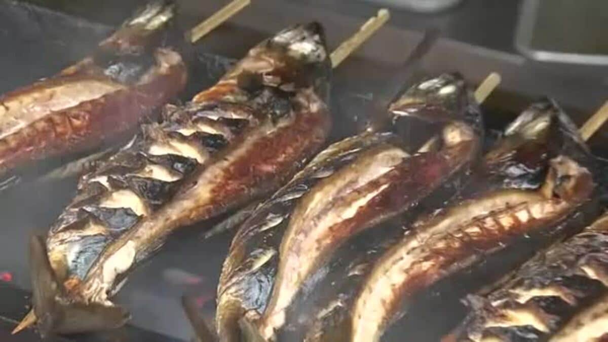 これを食べないと夏が始まらない」丸ごと1本の焼きさば…半夏生に奥越
