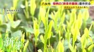 八女市で恒例「新茶祈願祭」　豊作と作業の安全祈る　「去年以上の旨み、香りの良い茶が取れるのでは」　18日に初入札　福岡