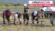 農業の大切さや食への理解を…小学生が田植えを体験　静岡・富士市