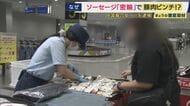 「何があかんねん」海外からの“肉の持ち込み”に対する甘い認識　報酬約4800円で中国からソーセージを密輸した疑いで逮捕者も　スペイン産生ハムの輸入停止にも波及する「アフリカ豚熱」の脅威