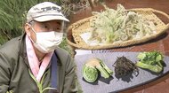 コゴミにタラノメ…山菜シーズン到来　採って食べて春を満喫　善光寺御開帳も開催中【長野発】