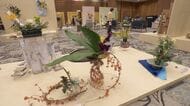 “暮らしに花を”がテーマ…名古屋の生け花流派「石田流」の芸術展 家具メーカーとコラボした作品など約200点展示