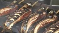 「これを食べないと夏が始まらない」丸ごと1本の焼きさば…半夏生に奥越地域特有の文化　サバ輸入単価2年で55％アップの厳しい現実も