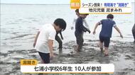 「泥を塗り、投げ合う」有明海の干潟体験シーズン開幕 鹿島で今年も潟開き【佐賀県】