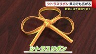 新潟にも広がる“シトラスリボン” 感染者・医療従事者への差別やめて【新潟】