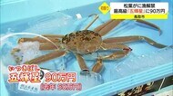 最高級ブランド「五輝星」に90万円!松葉がに漁解禁で初セリ 平均単価は去年の2倍超(鳥取・鳥取市)