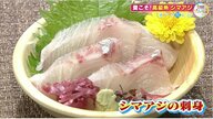 【瀬戸内旬紀行】焼き魚や煮付けも美味しいが…脂の乗った「シマアジの刺身」の味は？【岡山・香川発】