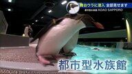 札幌中心部でペンギンに会える 都市型水族館 完成までの道のり 舞台ウラ密着 ビルならでは工夫も【北海道発】
