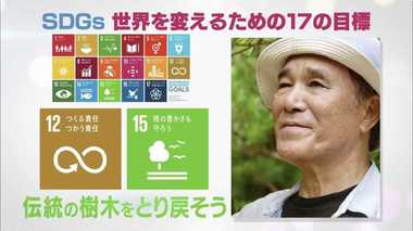 沖縄にゼロからイヌマキの森を作る。首里城を守るためにできることとは?