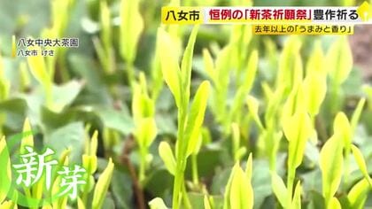 八女市で恒例「新茶祈願祭」　豊作と作業の安全祈る　「去年以上の旨み、香りの良い茶が取れるのでは」　18日に初入札　福岡