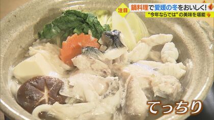 ふぐ名人がつくる「てっちり」に平成レトロな「地鶏鍋」　愛媛の“鍋料理”を堪能！