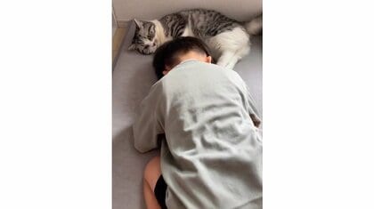 「お願いします〜」と土下座？大好きな猫に触れたい3歳息子のアプローチが独特…関係性を飼い主に聞いた