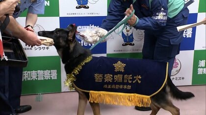 デビュー直後の警察犬ジャーマンシェパード「おはぎ号」がお手柄　さいたま市の介護施設から行方不明の80代女性を早期発見