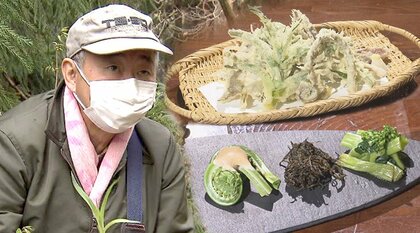 コゴミにタラノメ…山菜シーズン到来　採って食べて春を満喫　善光寺御開帳も開催中【長野発】