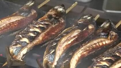「これを食べないと夏が始まらない」丸ごと1本の焼きさば…半夏生に奥越地域特有の文化　サバ輸入単価2年で55％アップの厳しい現実も