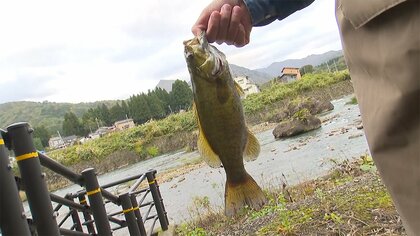 ブラックバスを釣ってポイント溜めるとサービスがあるそば店 “ブラックバスターズ”を募り川の生態系を守る