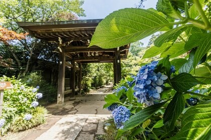 明日土曜は東日本で晴れ間も西日本で大雨のおそれ　北海道はフェーン現象で真夏並みの暑さも