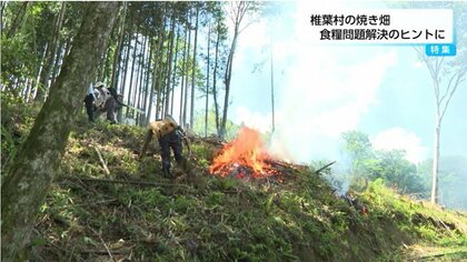 世界の食糧問題の解決に繋がるかもしれない」雑穀を育てながら、山の
