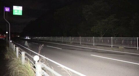 路上に死んだ飼い犬が…いなくなった犬を探していた22歳大学生が車にはねられ意識不明の重体 国道でトラックから車外へ