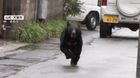 山形・天童市で住宅街に飛び出すクマ…わな設置も行方不明　「一番近かった」群馬・北軽井沢で住宅のテラスにクマ