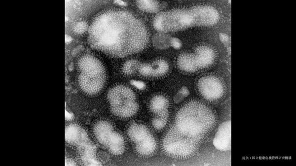 全国のインフルエンザ感染が過去10年で「最速」ペースで拡大　「51.12人」前週比1.35倍に　新たな変異ウイルス「サブクレードK」が増加｜FNNプライムオンライン