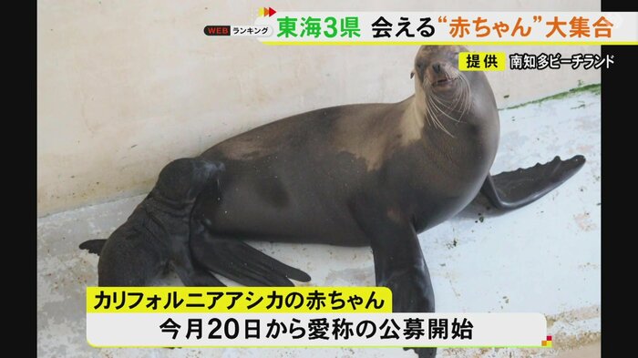 ニュースONE