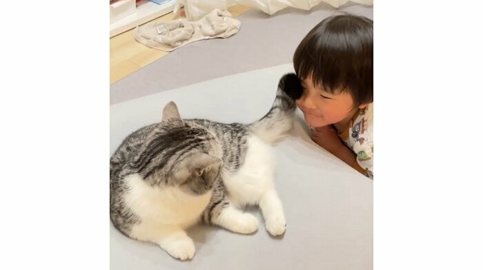 しっぽで顔をパタパタ