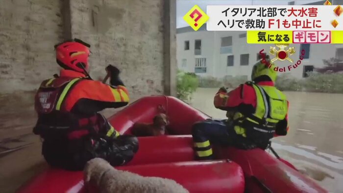 ボートに座り、おとなしくしている犬